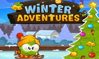 Winter Adventures